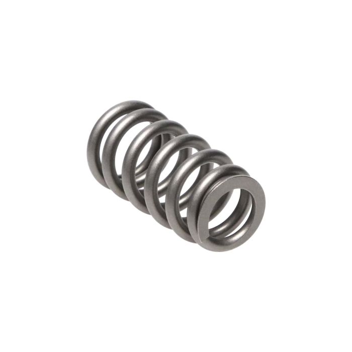 Manley Valve Spring FORD/MAZDA 2.3L 22200-1 main product photo