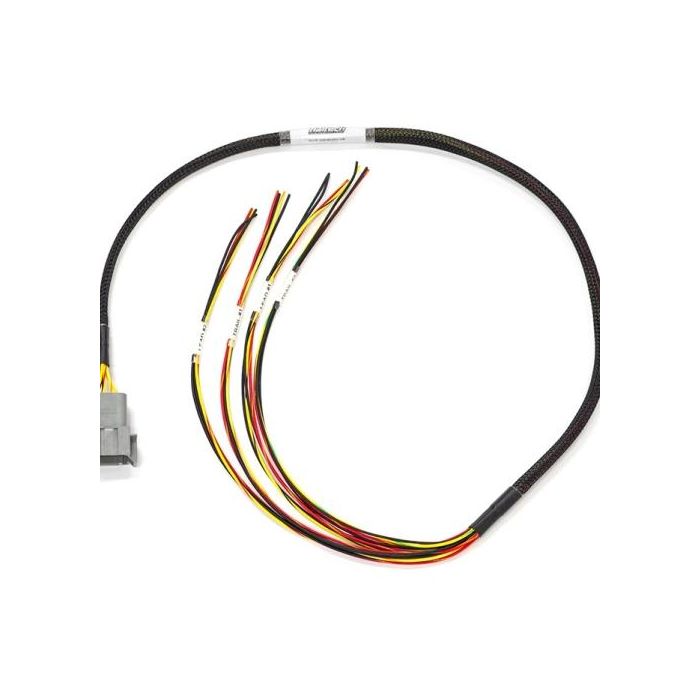 Haltech Elite 1000/1500 Maz 13B S4/5 Term Harn Only Fly lead HT-140875 main product photo
