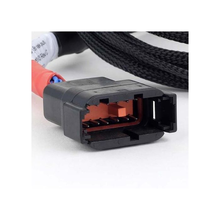 Haltech Nexus V8 GT150 (USCAR) Injector Secondary Breakout HT-186003 main product photo