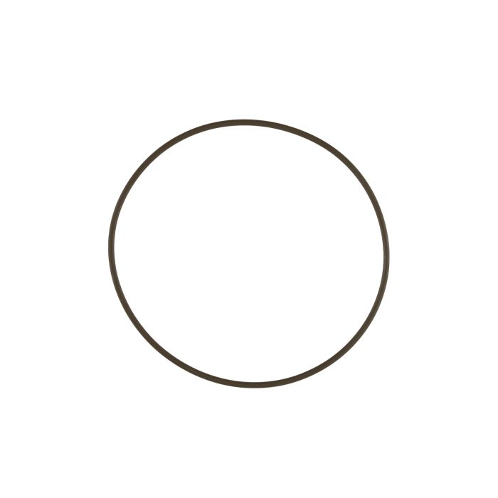 WG60 Actuator Cap O-Ring main product photo