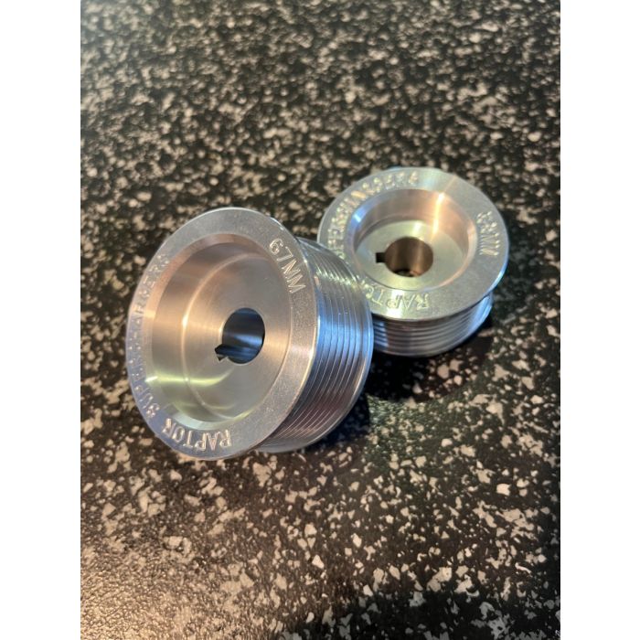 Raptor Pulley main product photo