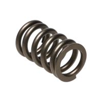 Manley Valve Spring MITSUBISHI 4G63/T 22125-16