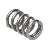 Manley Valve Spring TOYOTA SUPRA 2JZ 22130-1