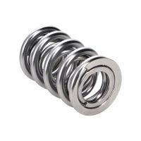 Manley Valve Spring 1424 POLISHED 221424P-16