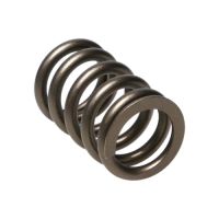 Manley Valve Spring NISSAN PATROL TB48 22155-1