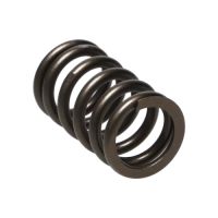 Manley Valve Spring NISSAN SR20DE/SR20DET 22165-1