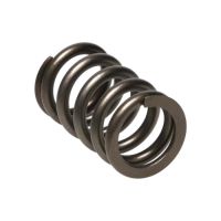 Manley Valve Spring DODGE SRT-4 22190-16
