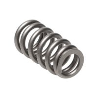 Manley Valve Spring FORD/MAZDA 2.3L 22200-1