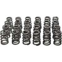 Manley Valve Spring Kit Spring/Retainer 26135