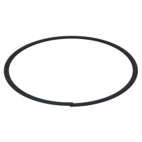 JE-Pistons Oil Rail Support  radial wall .162" JE-3700-162