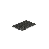 Piper Single Valve Spring Kit Jaguar JAGUAR 3.0 V6 VSSJV6