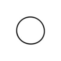 BOV RacePort flange O-Ring