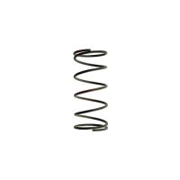 Gen4 WG50/60 12PSI OUT SPRG-BLK/RED