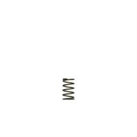 GenV WG38/40 5psi Grey Inner Spring