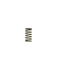 GenV WG60 3psi Inner Spring