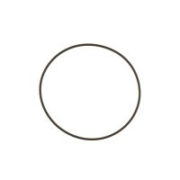 WG60 Actuator Cap O-Ring