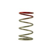 GenV IWG 14 PSI Spring