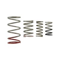 GenV IWG Spring Replacement Kit