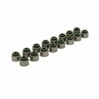 Piper Double Valve Spring Kit Ford 2.0L EcoBoost VDSFECO20K